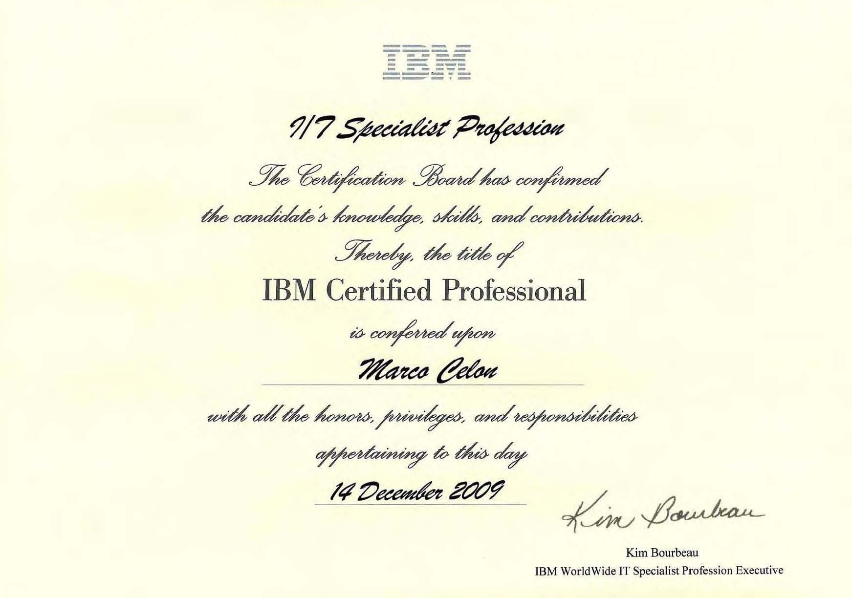 IBM IT Specialist Profession Certificate